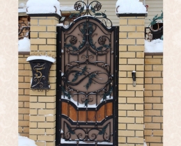 Кованая решетка на дверь в Воронеже